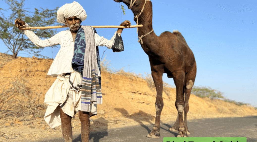 Bhuj Travel Guide