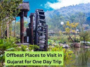Offbeat Places to Visit in Gujarat for One Day Trip
